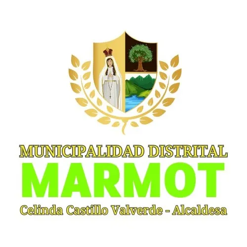 Cliente 4